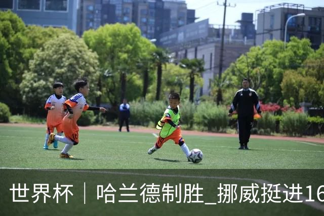 世界杯｜哈兰德制胜 挪威挺进16强将战巴西