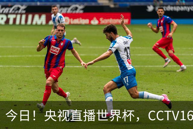 今日！央视直播世界杯，CCTV16转中超，网络转大连鲲城+可为+U17中国男篮+F1等