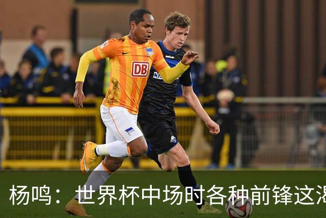 杨鸣：世界杯中场时各种前锋这渴了那饿了全来了 谁能记住后卫呢