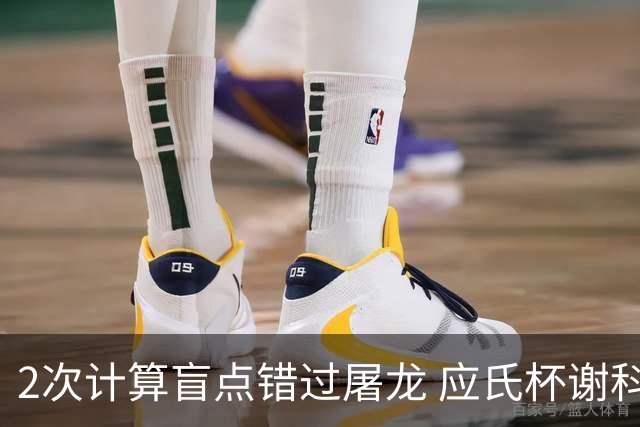2次计算盲点错过屠龙 应氏杯谢科1点之差负一力辽
